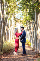 Family Photos + The Proposal